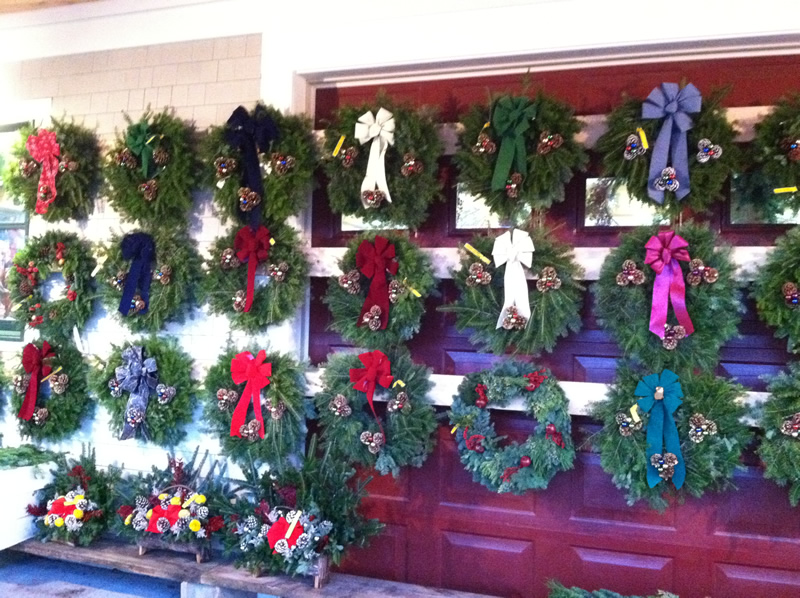 Christmas Wreaths Hart Farm