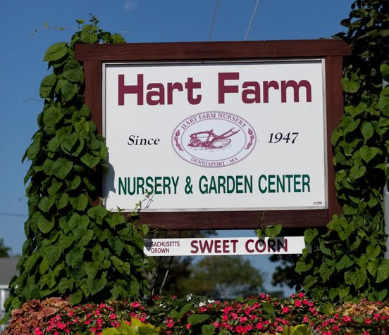 hart-farm-nursery-garden-center